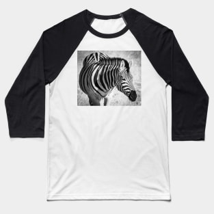 Black and white zebra. Baseball T-Shirt